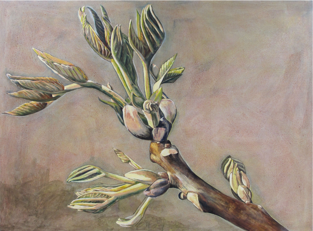 Baumnusstrieb, 140x100cm, 2022